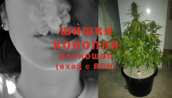 Альфа ПВП Богданович