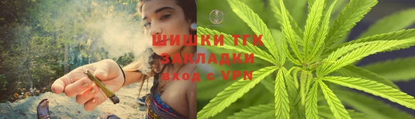 прущие грибы Беломорск