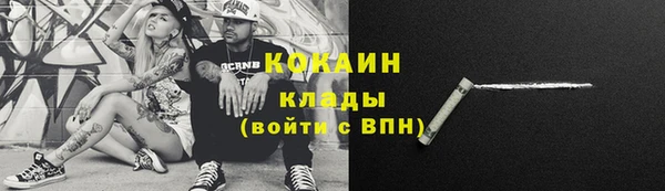 Альфа ПВП Богородск